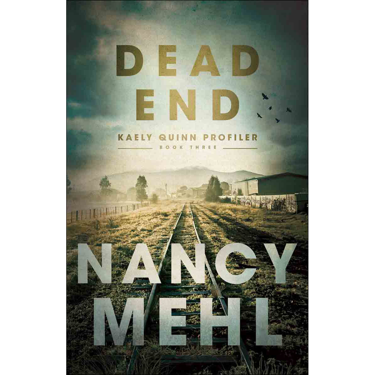 Dead End (3 Kaely Quinn Profiler)(Paperback)