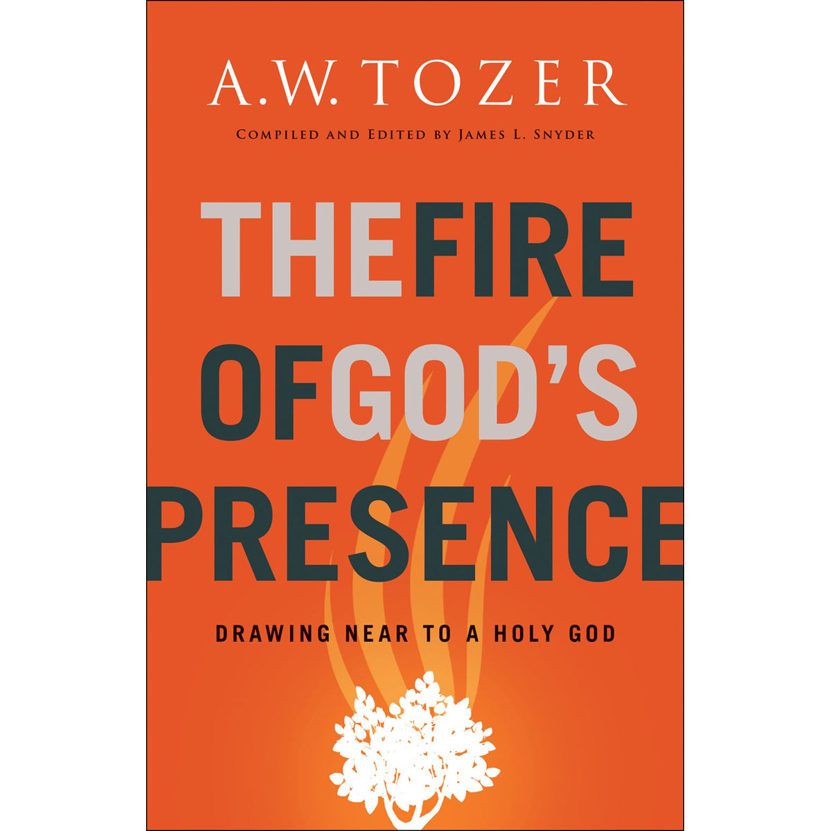 The Fire Of God's Presence (Paperback
