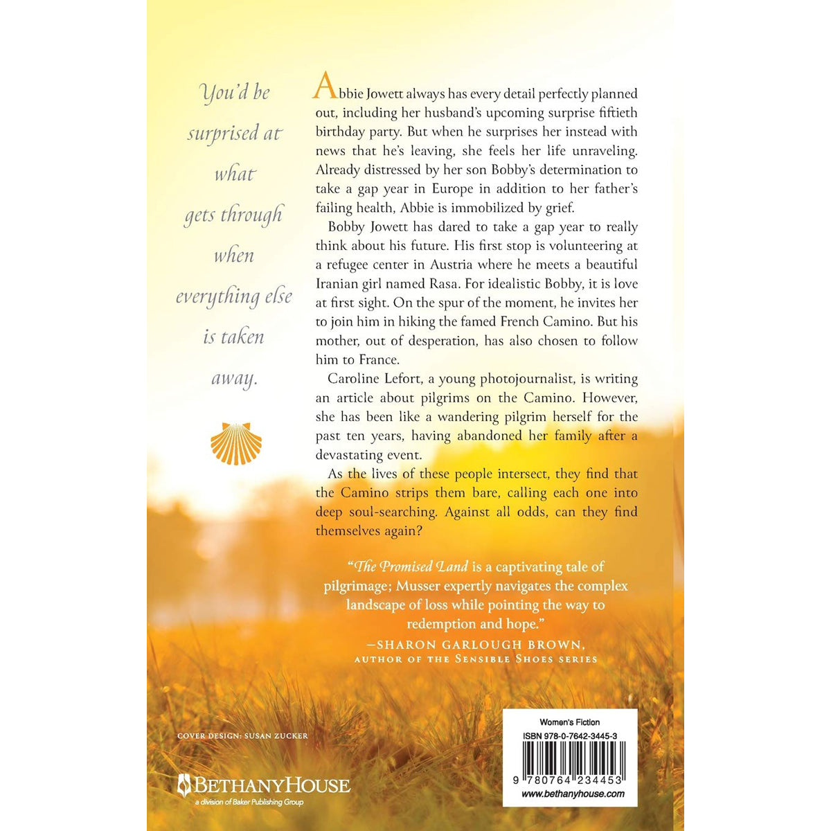 The Promised Land (Paperback)