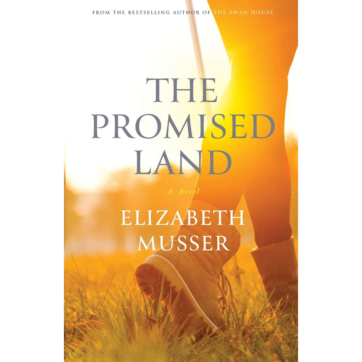 The Promised Land (Paperback)
