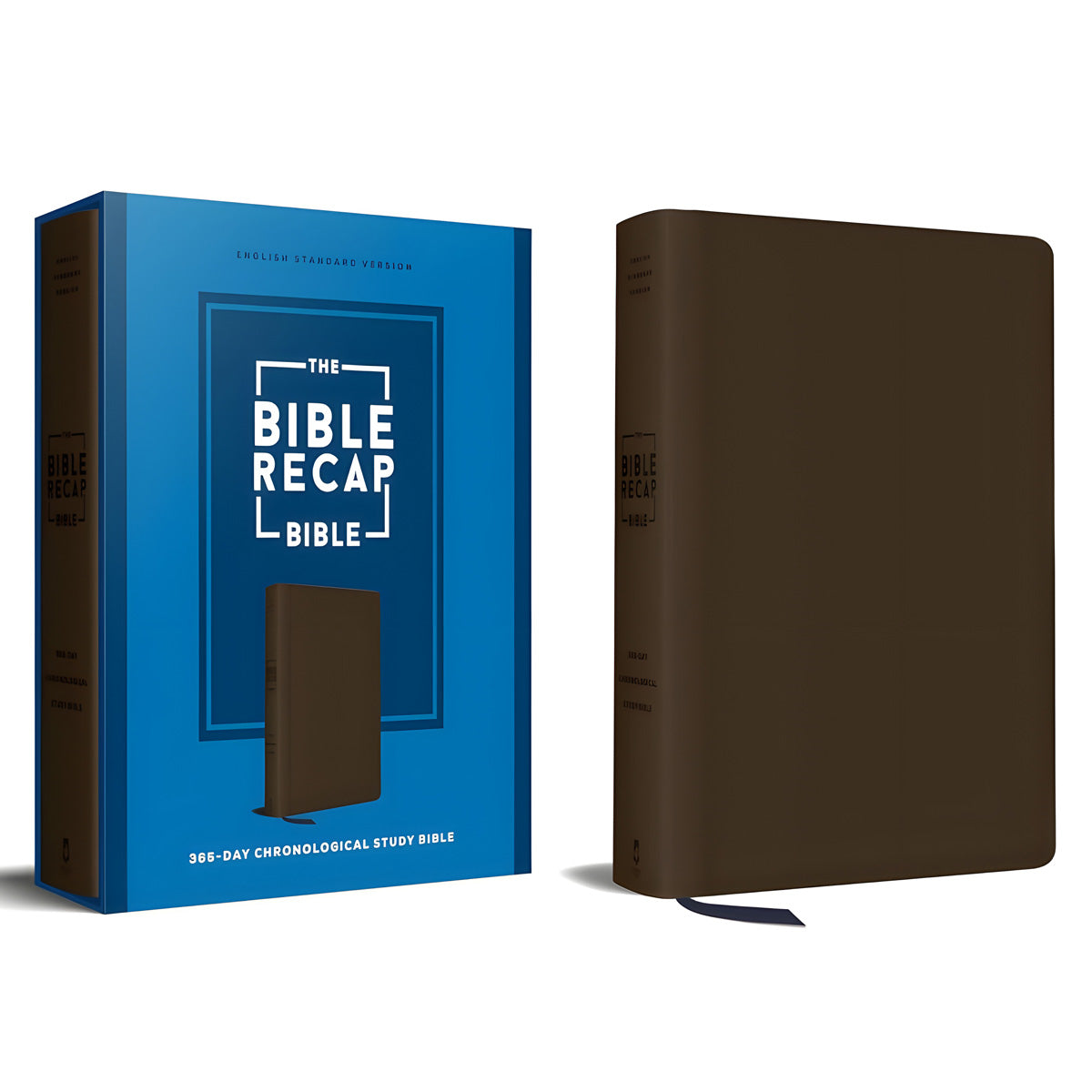 ESV Brown Imitation Leather The Bible Recap 365-Day Chronological Study Bible