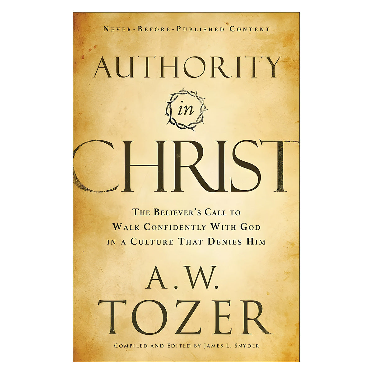Authority in Christ: The Believer's Call to Walk Confidently with God (Paperback)