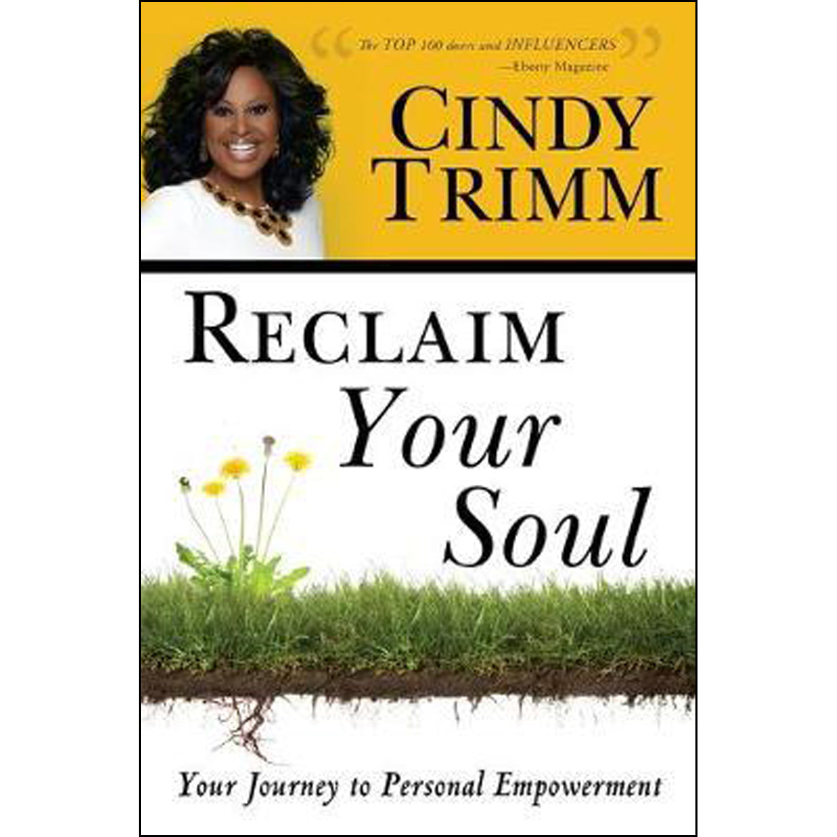 Reclaim Your Soul (Paperback)