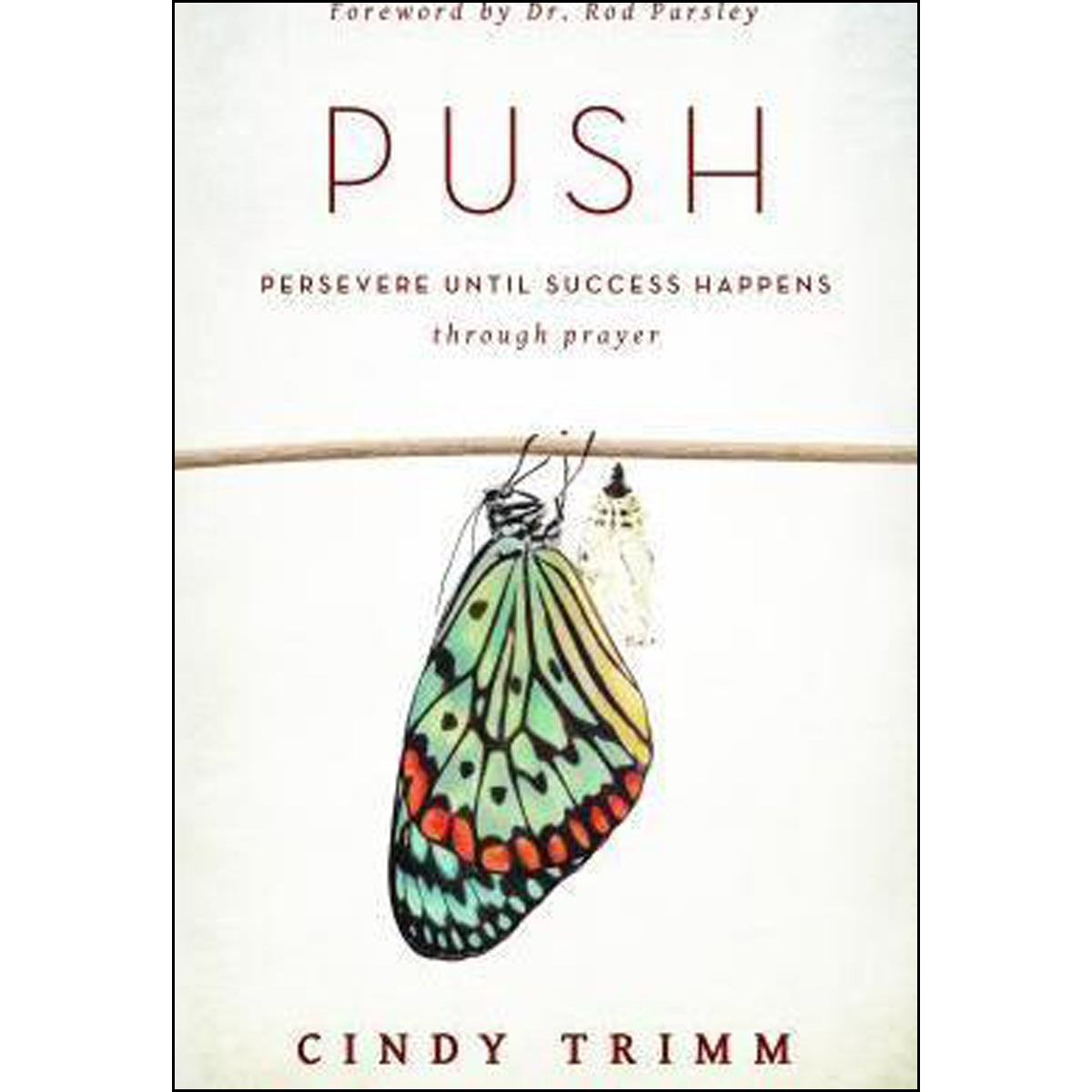 Push (Paperback)