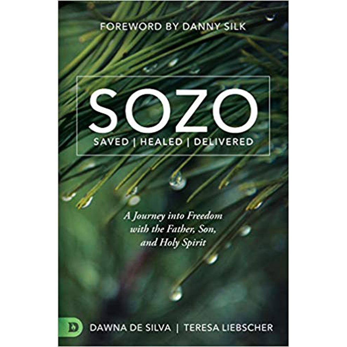 Sozo Saved Healed Delivered (Paperback)