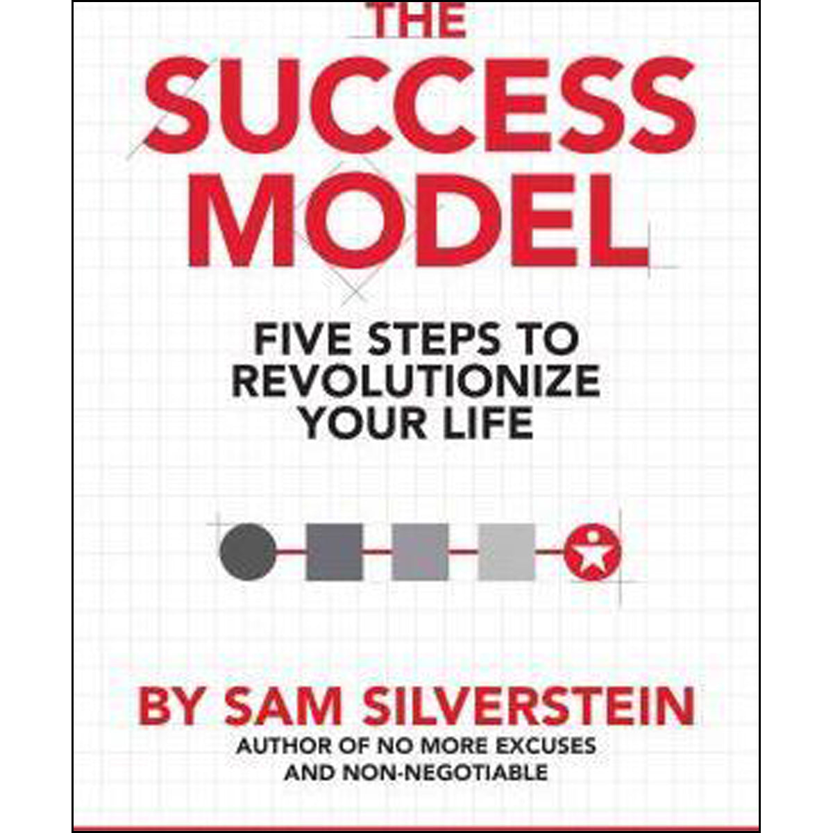 The Success Model (Paperback)