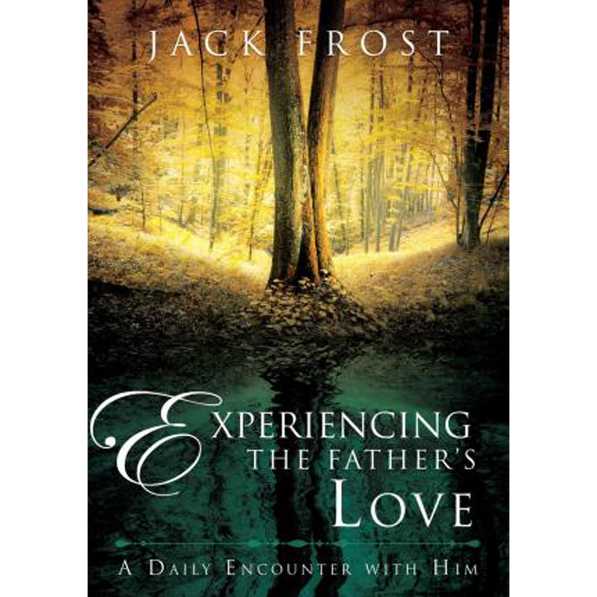 Experiencing The Fathers Love (Hardcover)