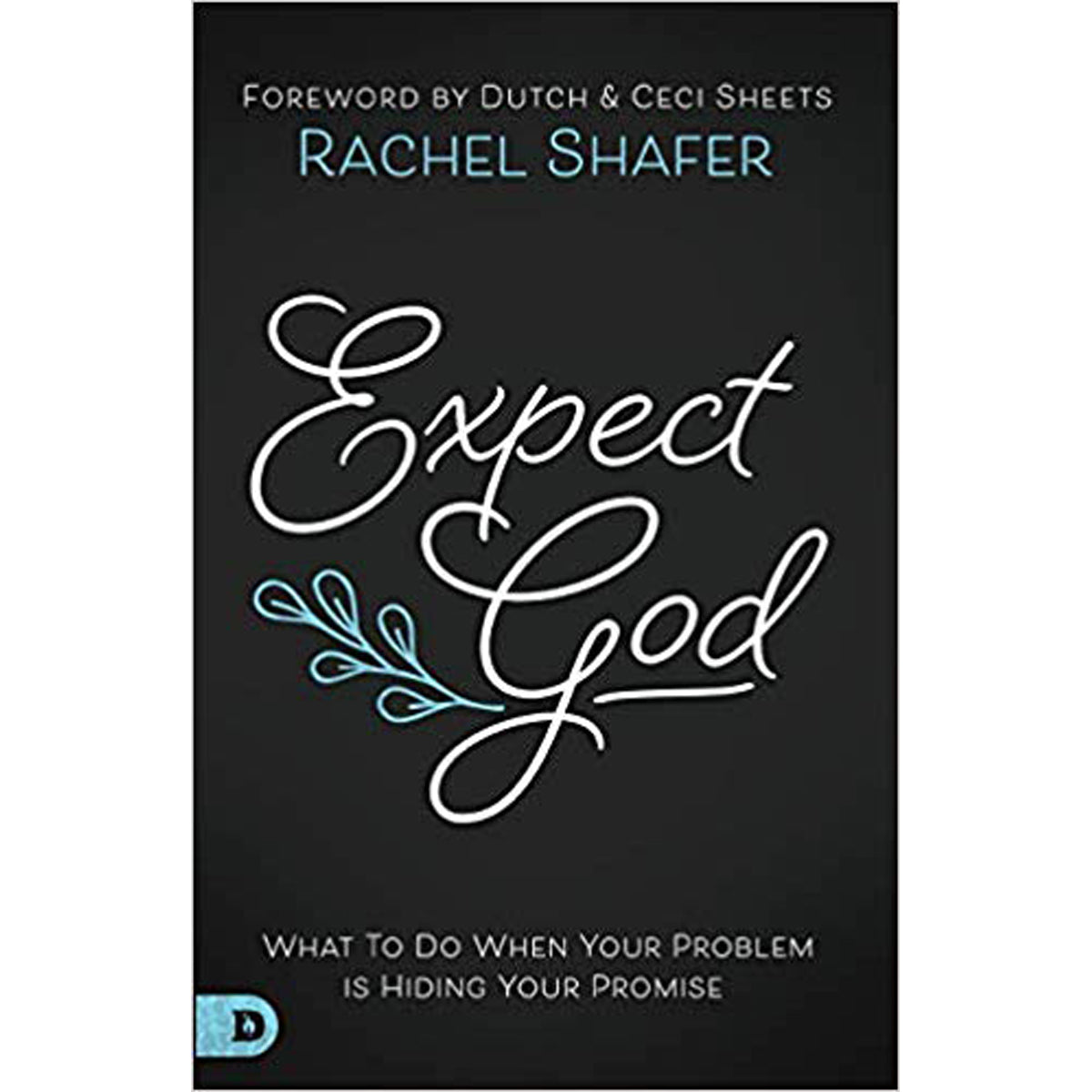 Expect God: What To Do When Your Problem Is Hiding Your Promise (Paperback)