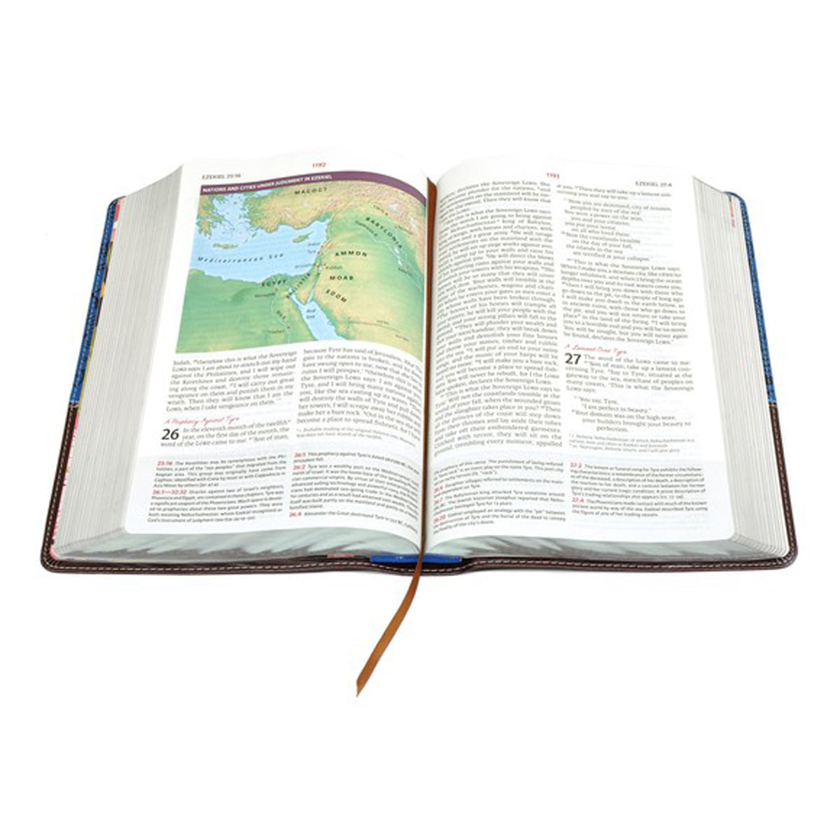 NIV The Womans Study Bible Full-Color Blue / Brown (Imitation Leather)