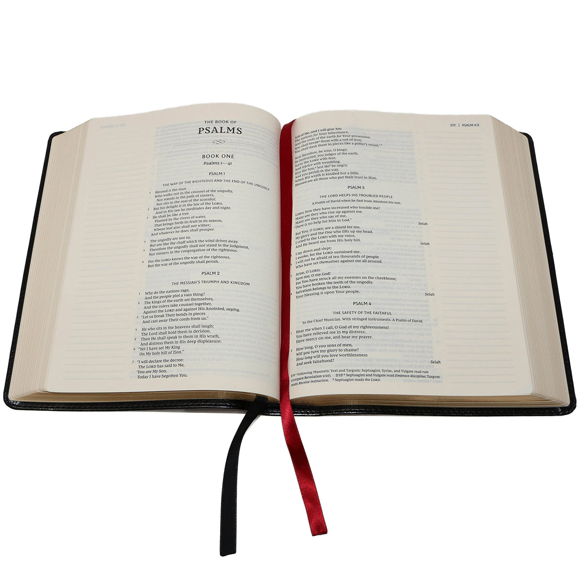 KJV Journal: The Word Bib Red Letter Cloth Pink Flora (Comfort Print)(Hardcover)