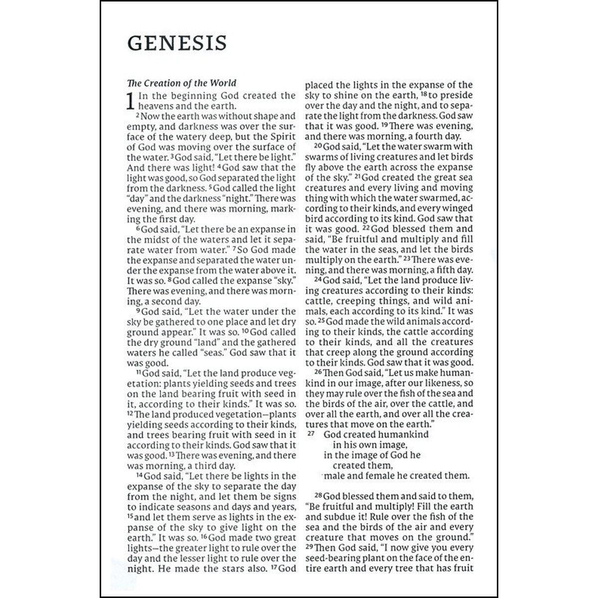 NET Bible Thinline Large Print Cloth Over Board Gray (Comfort Print)(Hardcover)