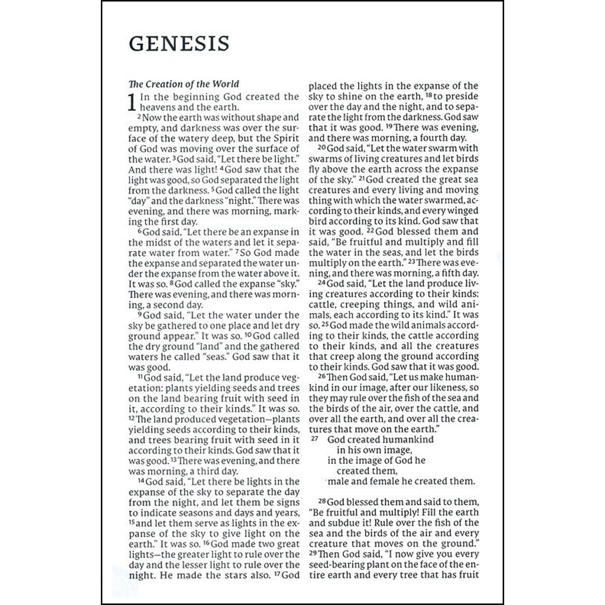 NET Bible Thinline Large Print Brown (Comfort Print)(Imitation Leather)