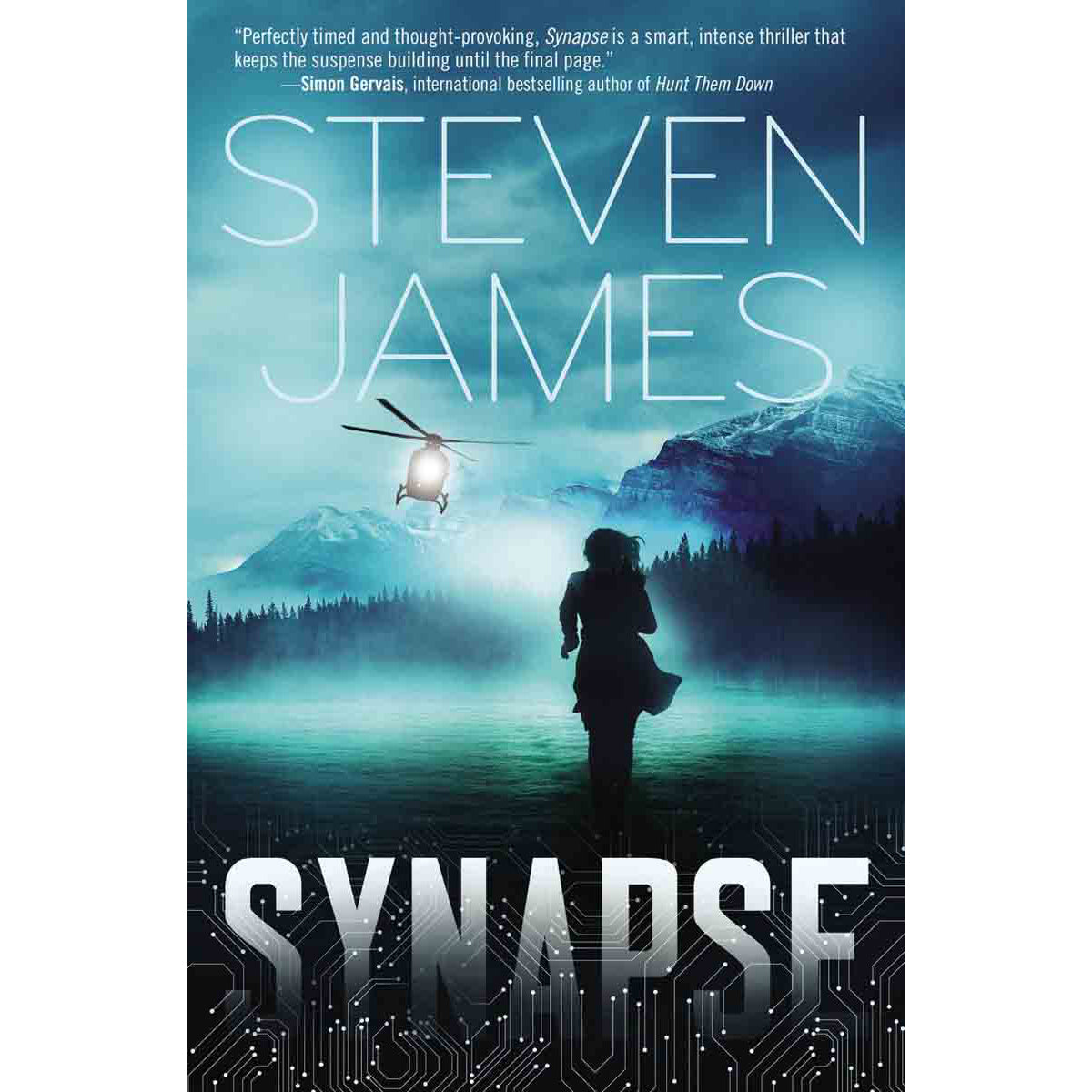 Synapse (Paperback)