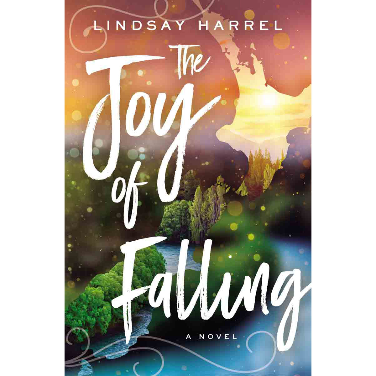 The Joy Of Falling (Paperback)