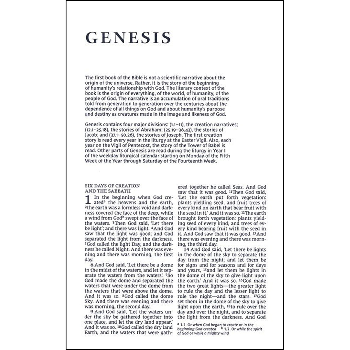 NRSV Catholic Gift Edition Brown (Comfort Print)(Imitation Leather)