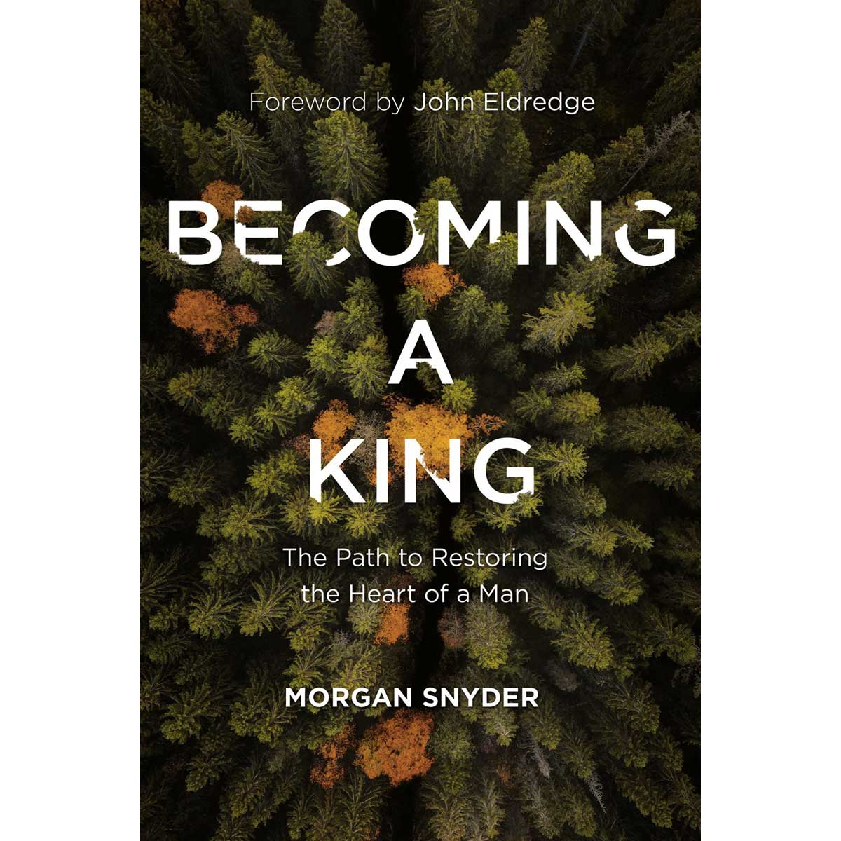 Becoming A King: The Path To Restoring The Heart Of A Man (Hardcover)
