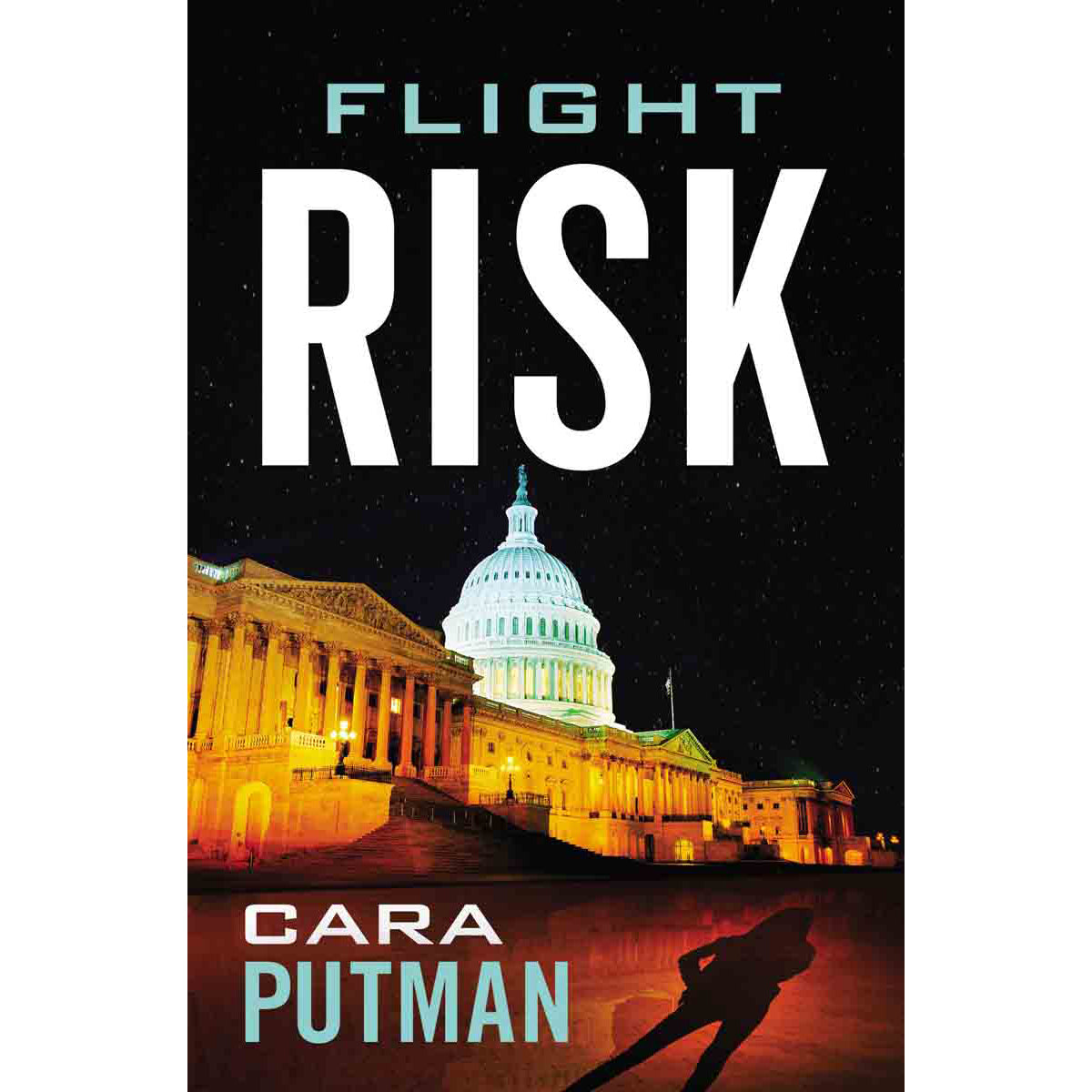 Flight Risk (Paperback)