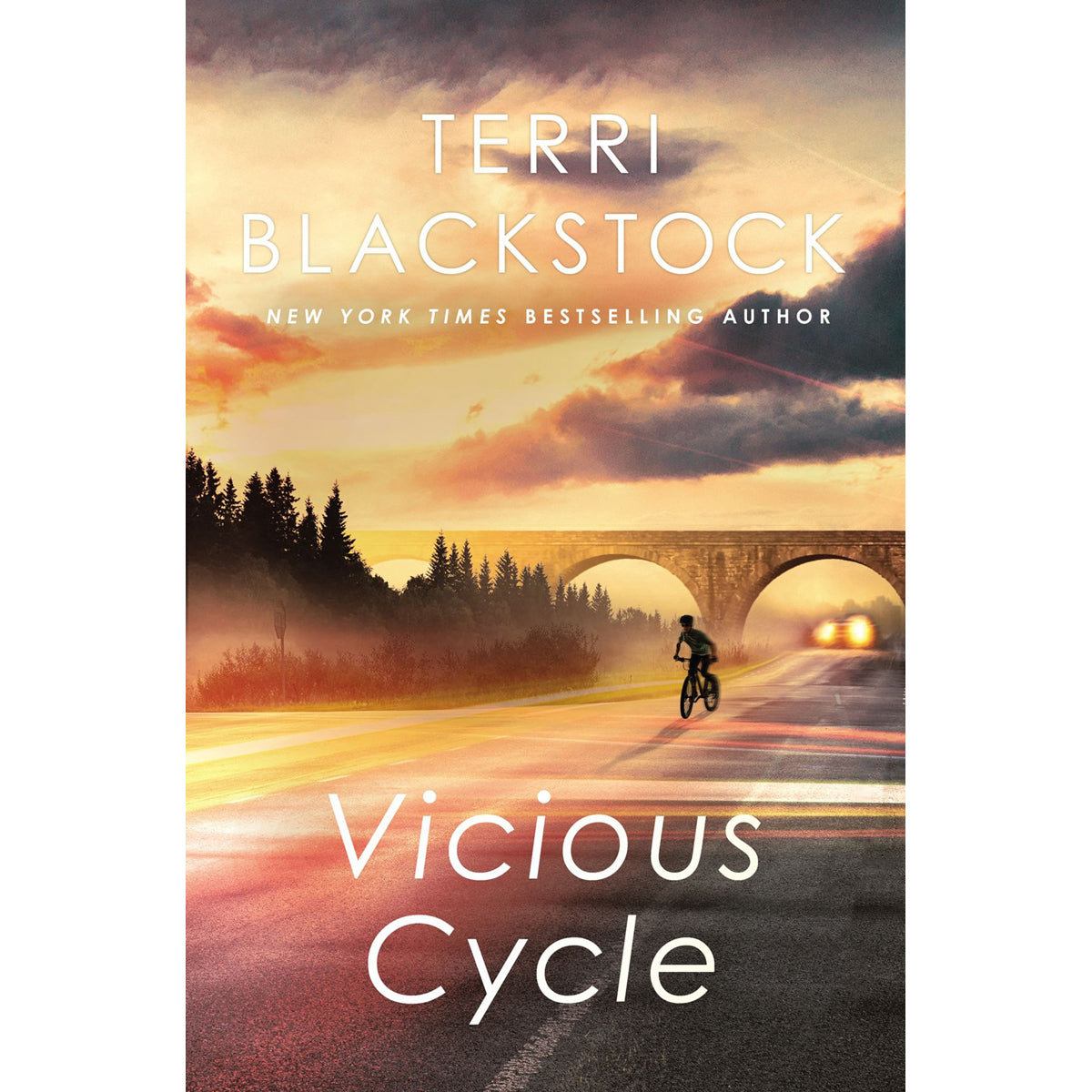 Vicious Cycle (2 An Intervention)(Paperback)