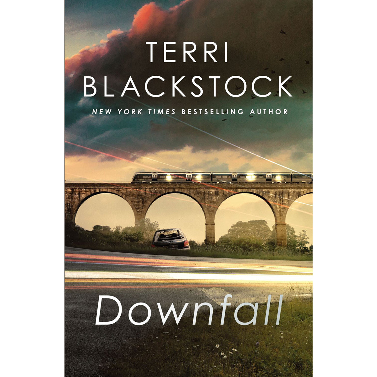 Downfall (3 An Intervention)(Paperback)