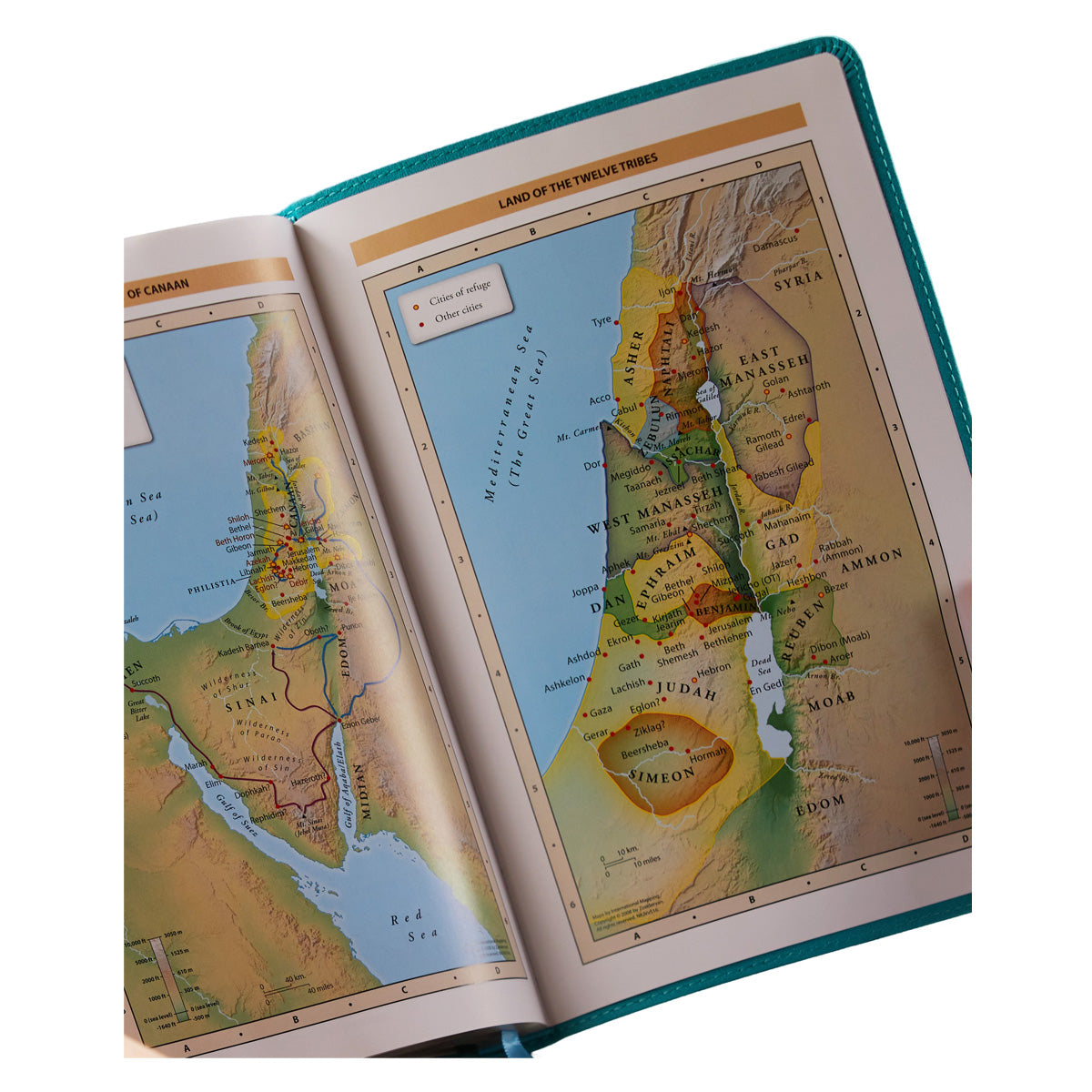 NKJV Thinline Bible (Comfort Print)(Verse Art Cover Collection)(Imitation Leather)