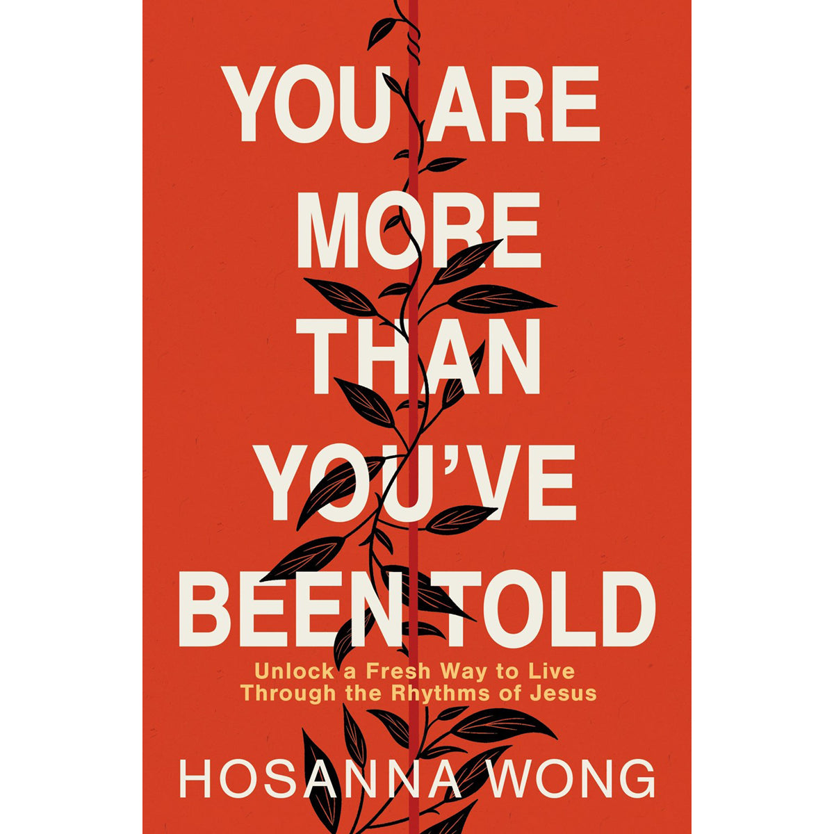 You Are More Than You've Been Told: Unlock A Fresh Way To Live Through The Rhythms Of Jesus PB