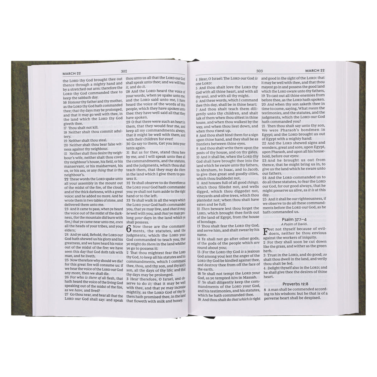 KJV Everyday Bible Red Letter Comfort Print (Hardcover)