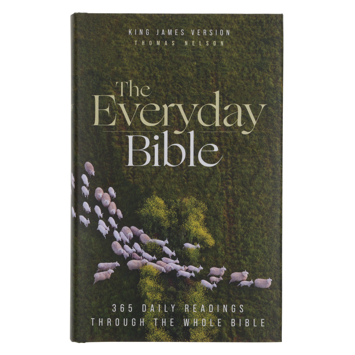 KJV Everyday Bible Red Letter Comfort Print (Hardcover)