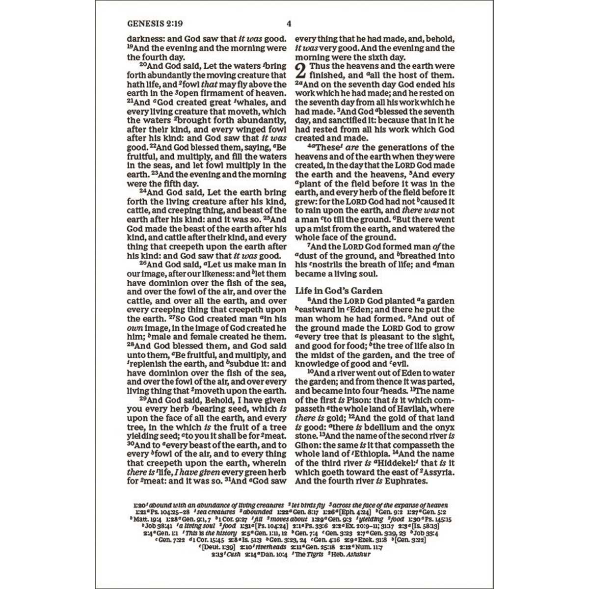 KJV Thinline Paragraph-Style Bib Red Letter Black (Comfort Print)(IM)