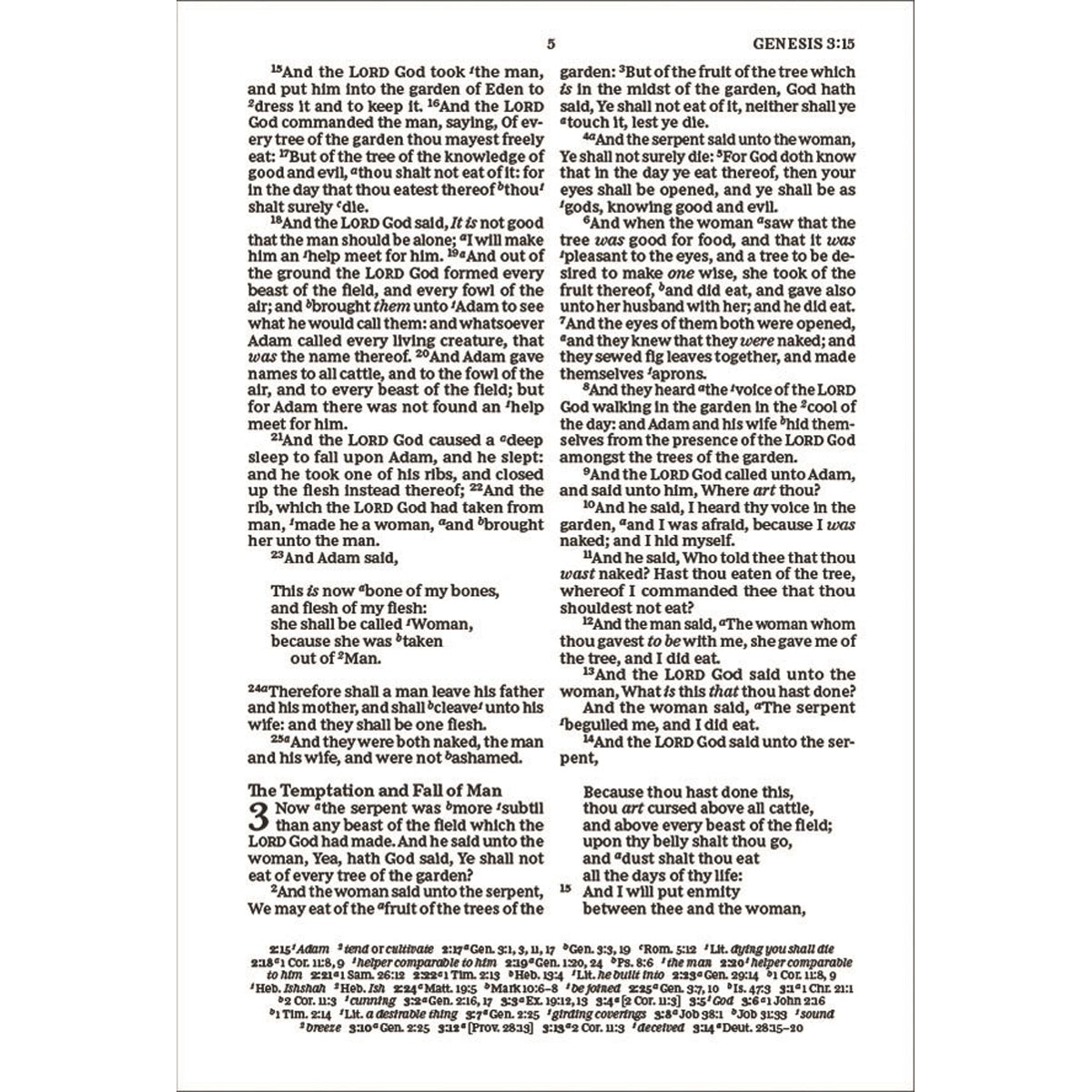KJV Thinline Paragraph-Style Bib Red Letter Black (Comfort Print)(IM)