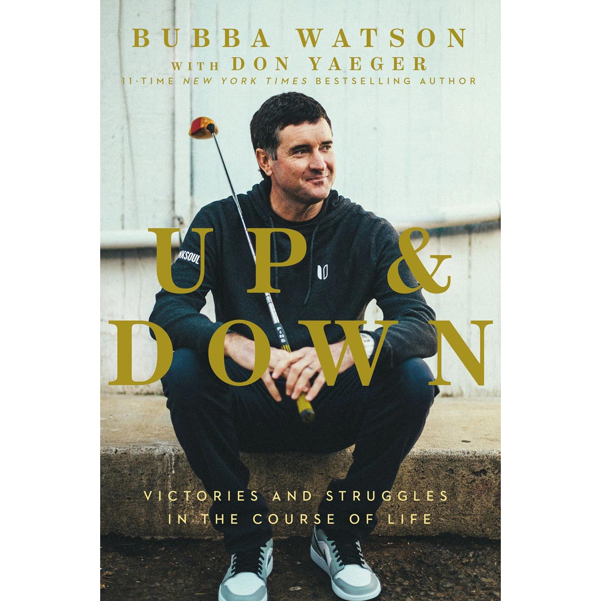 Up And Down: Victories And Struggles / Course Of Life (Paperback)
