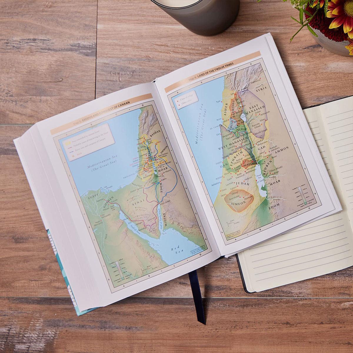 NKJV Word Study Ref Bible Red Letter Brown (Comfort Print)(IM)