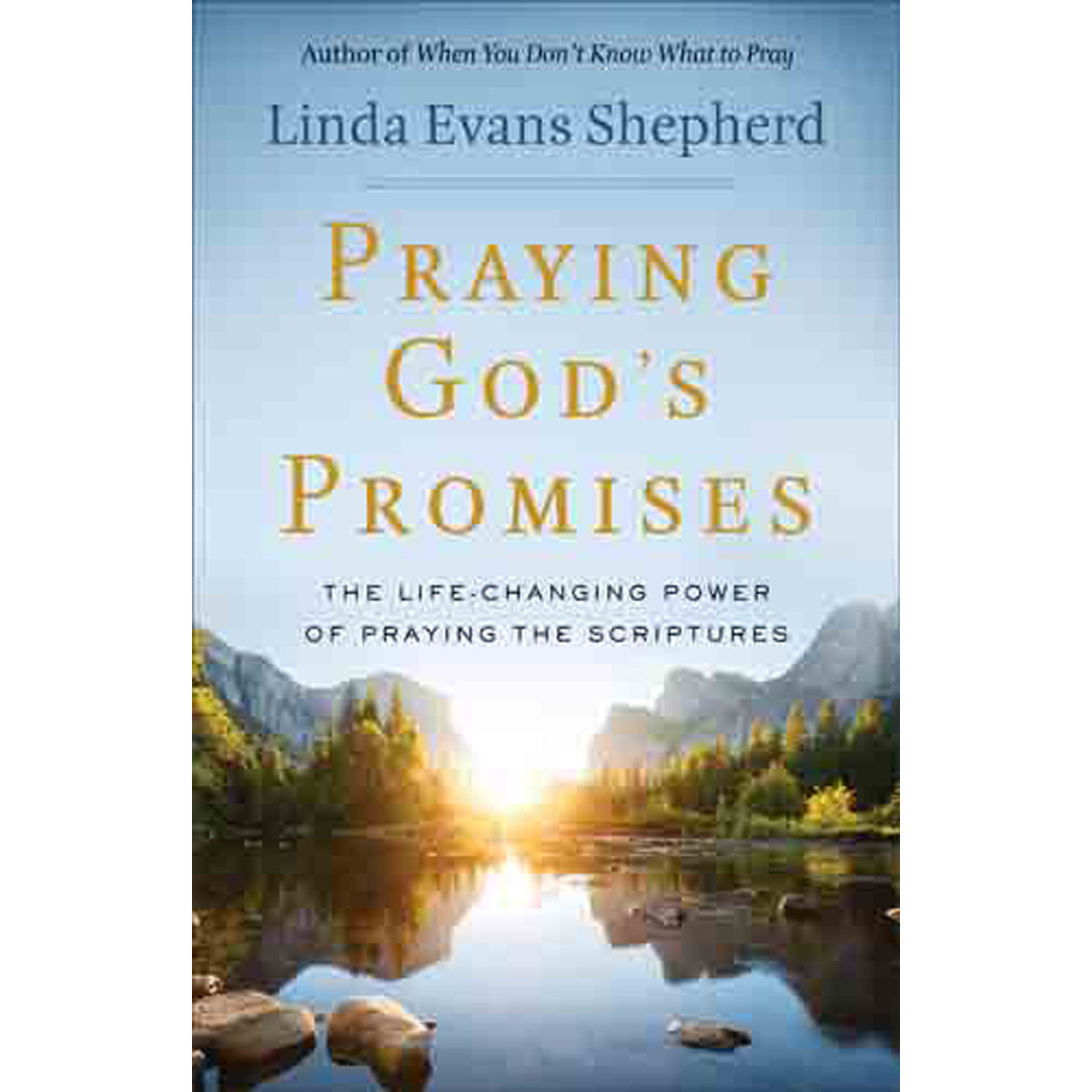 Praying Gods Promises (Paperback)