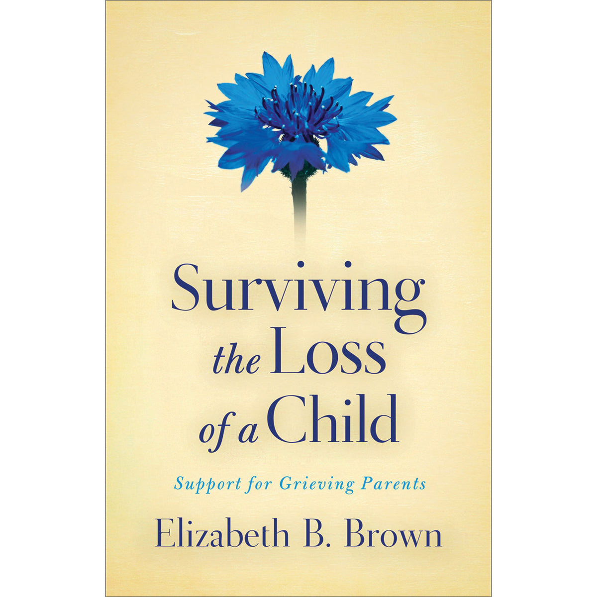 Surviving The Loss Of A Child (Paperback)