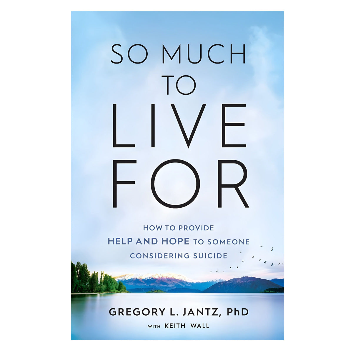 So Much To Live For: How To Provide Help And Hope To Someone Considering Suicide (Paperback)