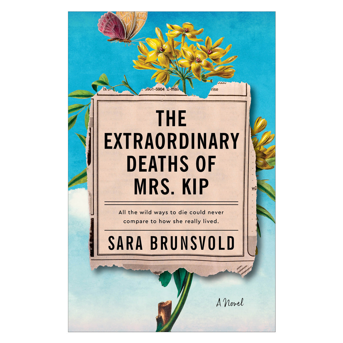 The Extraordinary Deaths Of Mrs Kip: A Novel (Paperback)