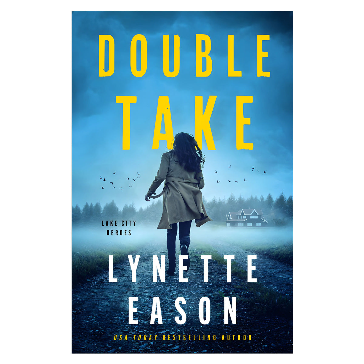 Double Take 1 Lake City Heroes (Paperback)