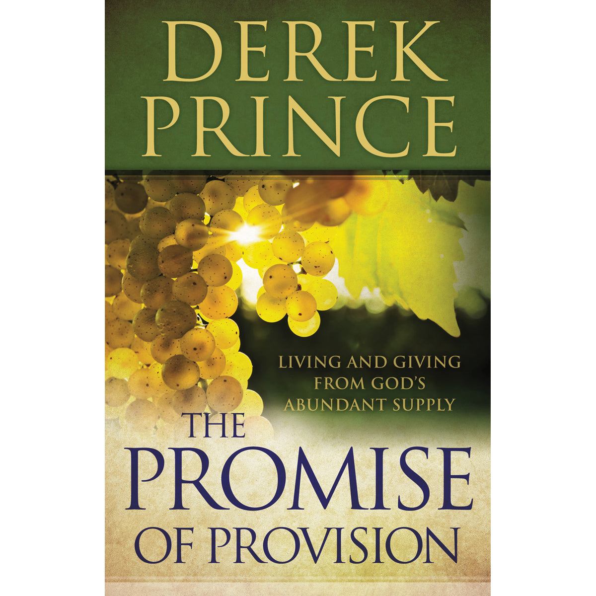 The Promise Of Provision (Paperback)