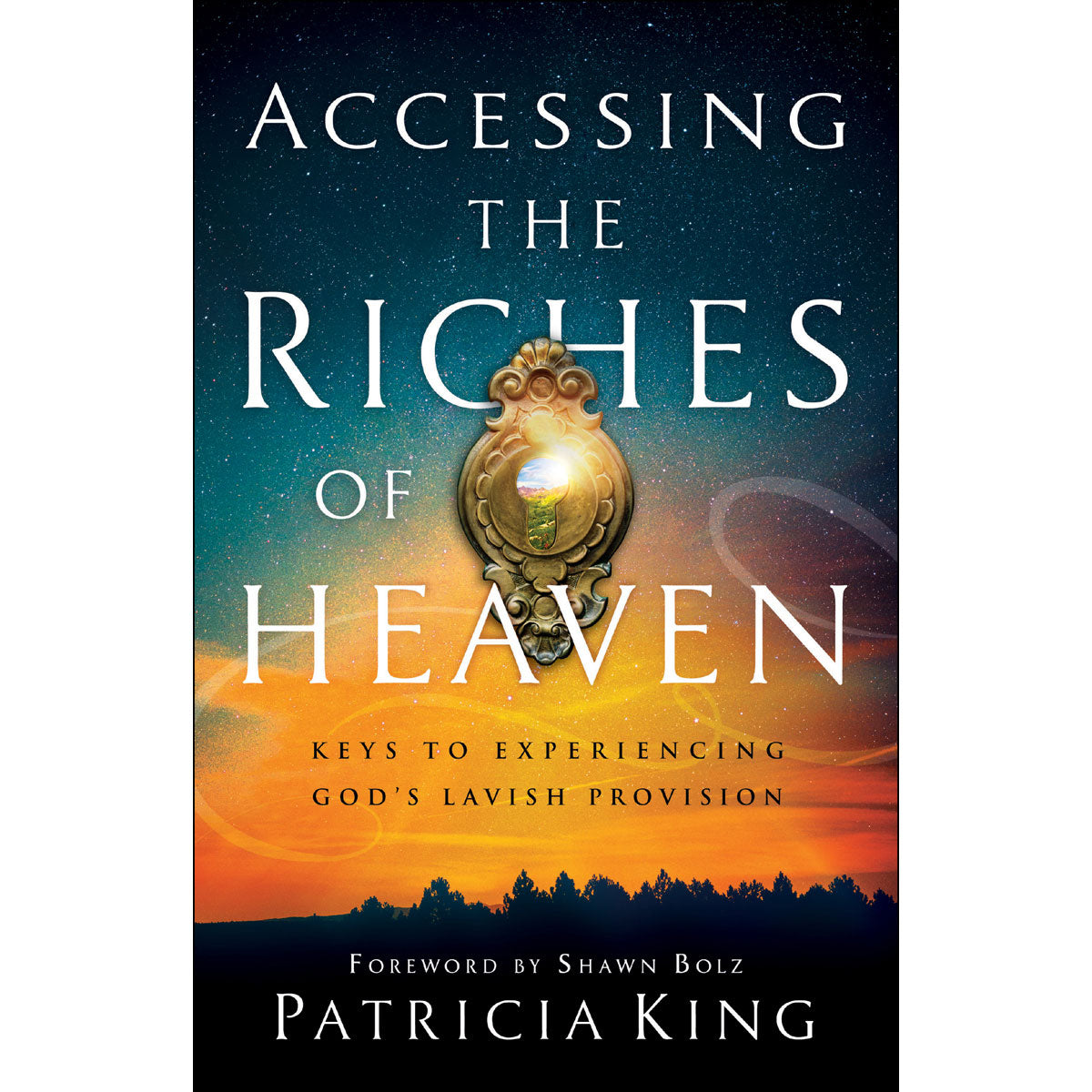 Accessing The Riches Of Heaven (Paperback)