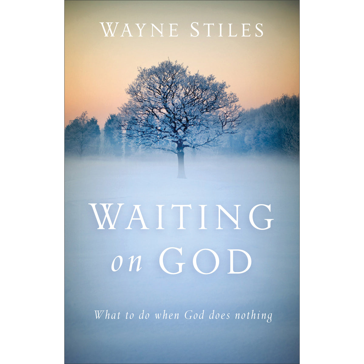 Waiting On God: What To Do When God Does Nothing (Paperback)