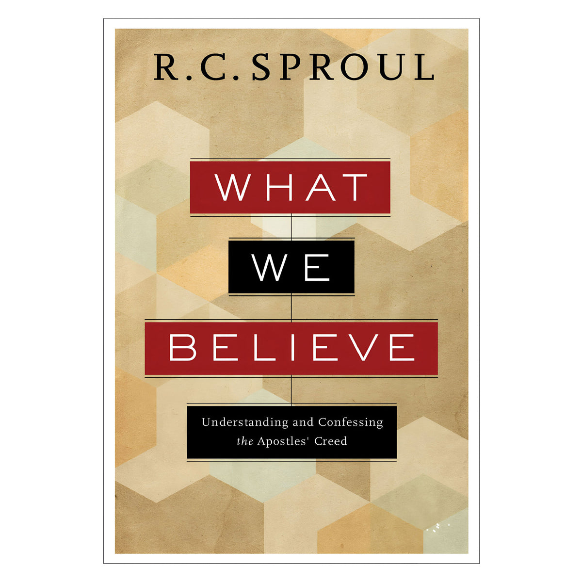 What We Believe: Understanding and Confessing the Apostles' Creed (Paperback)
