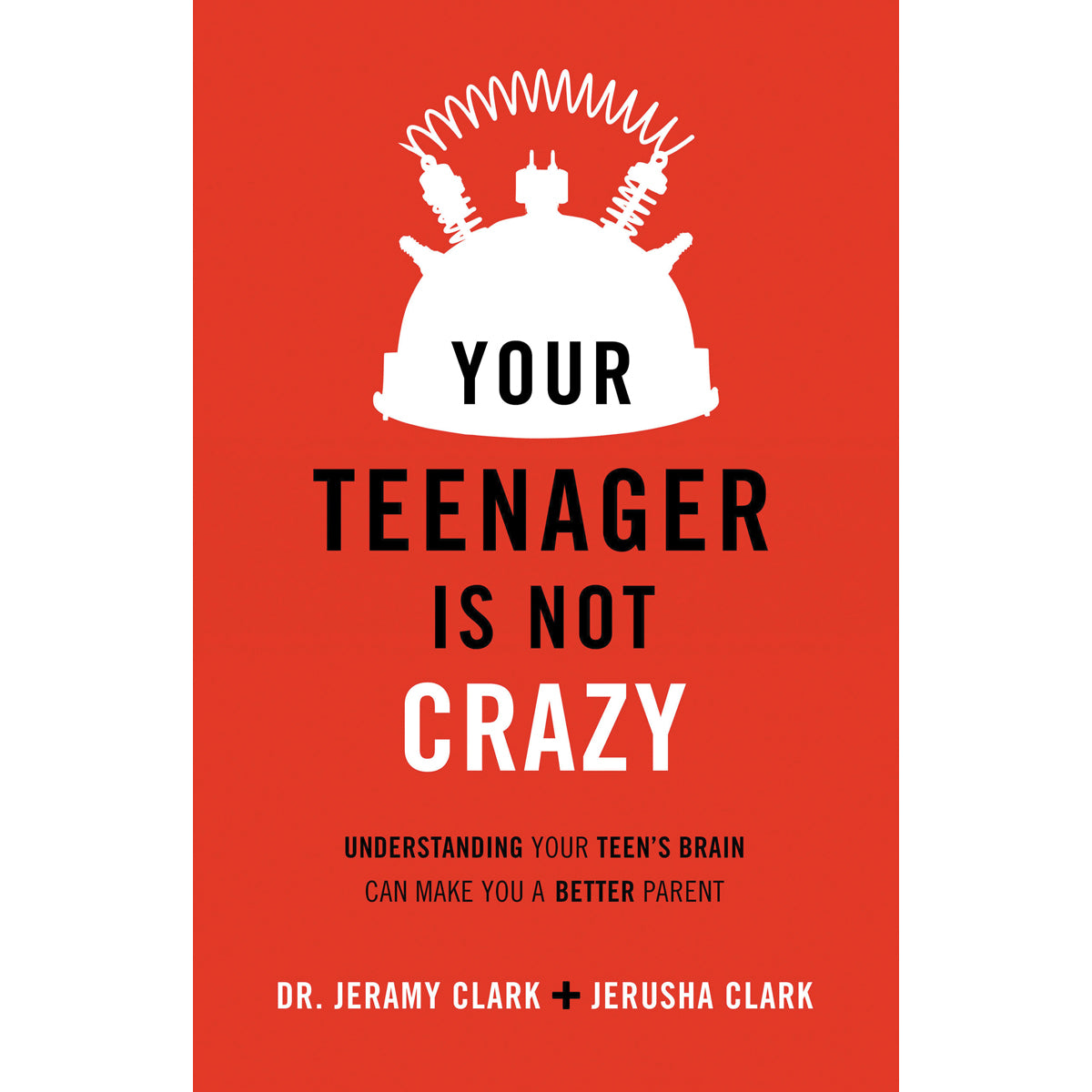 Your Teenagers Not Crazy (Paperback)