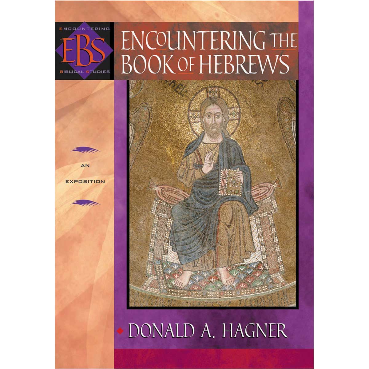 Encountering The Book Of Hebrews: An Exposition (Encountering Biblical Studies)(Paperback)