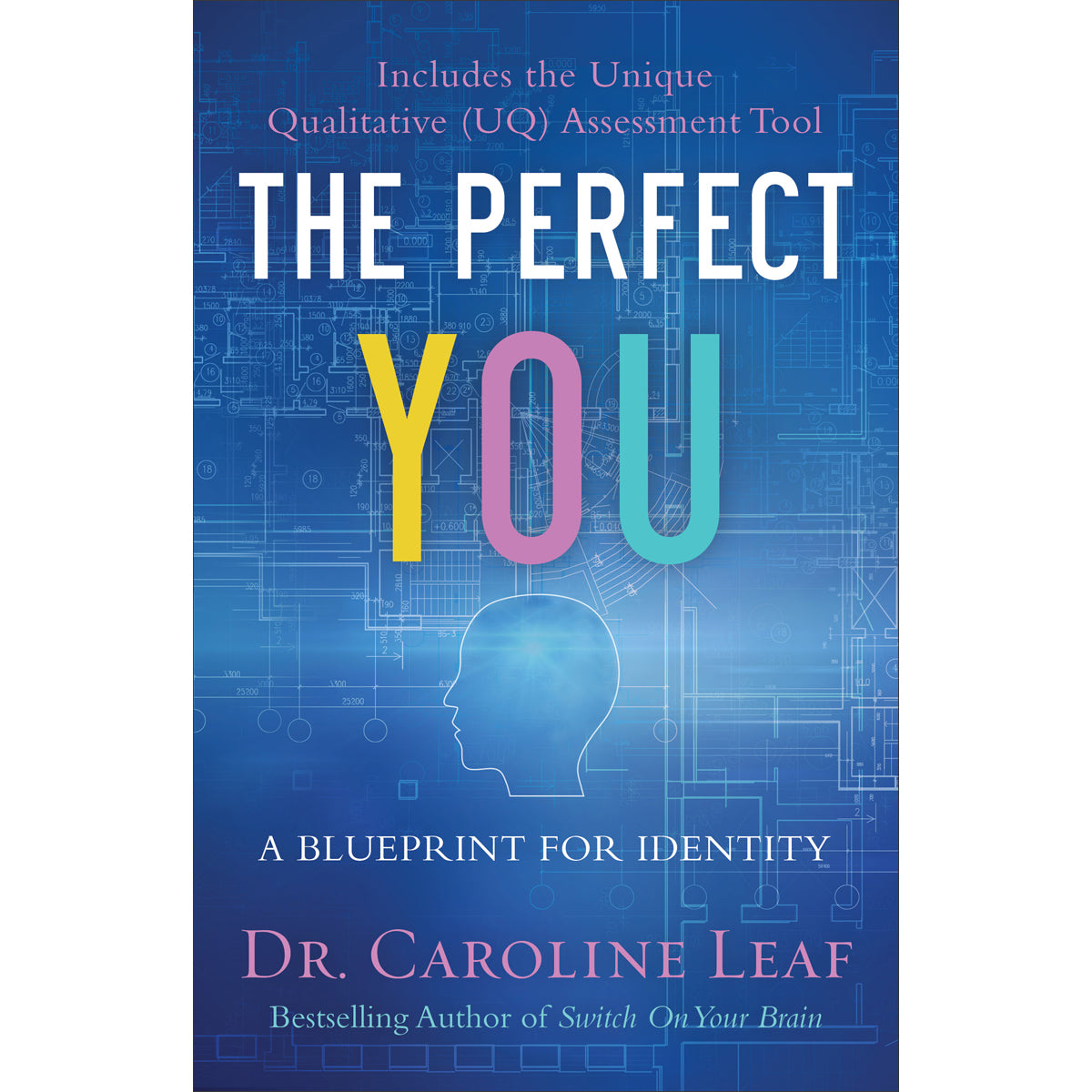The Perfect You (Paperback)