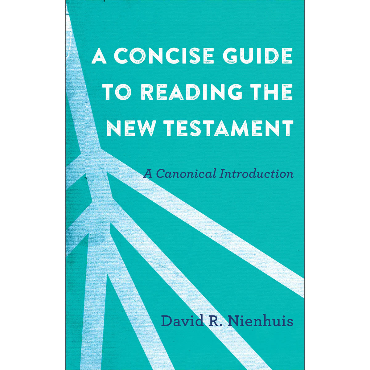 A Concise Guide To Reading The New Testament (Paperback)