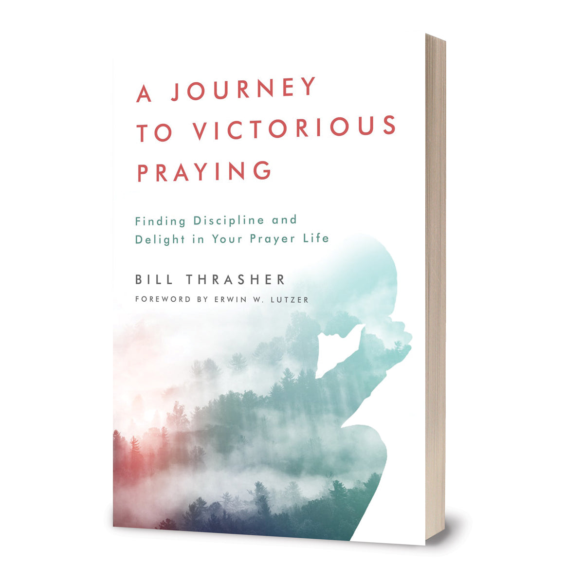 A Journey To Victorious Praying (Paperback)