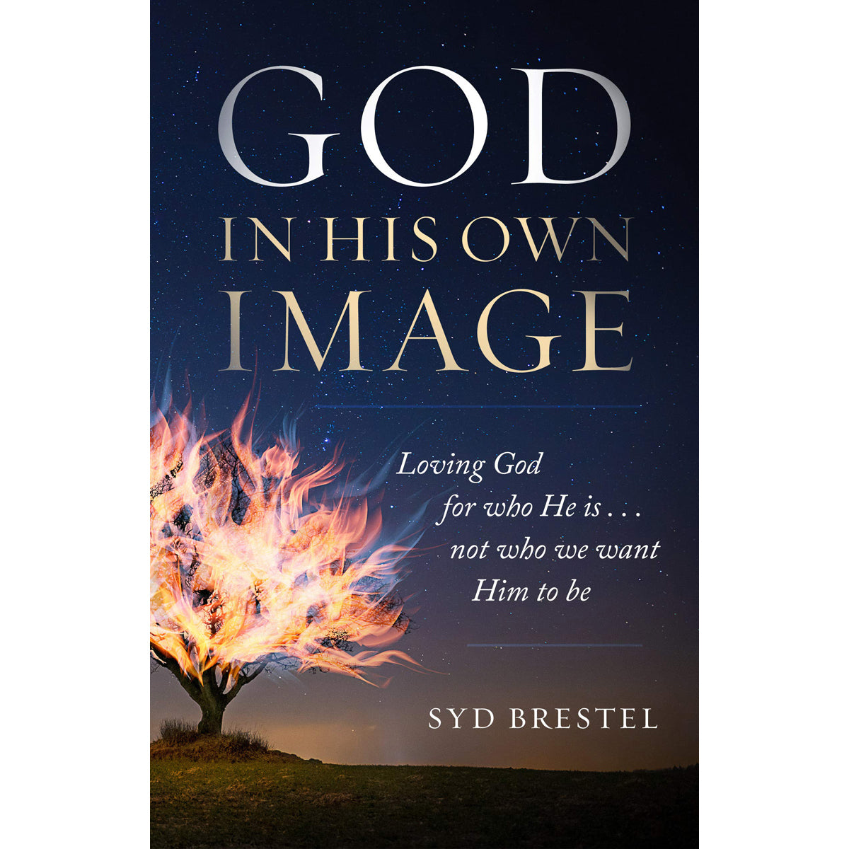 God In His Own Image (Paperback)