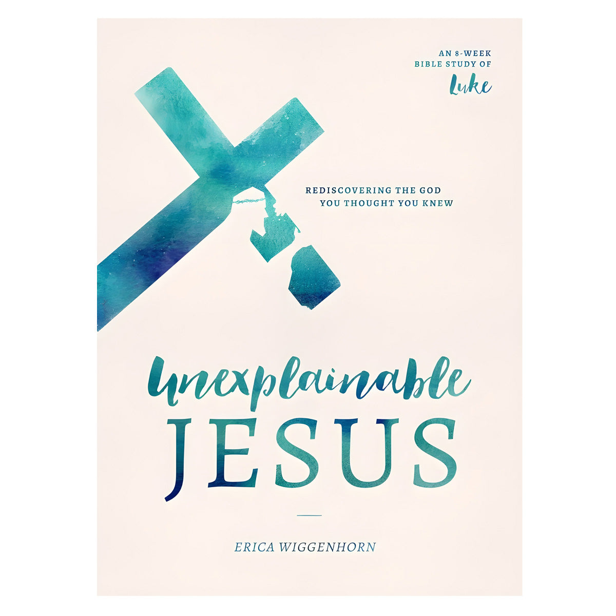 Unexplainable Jesus (Paperback)