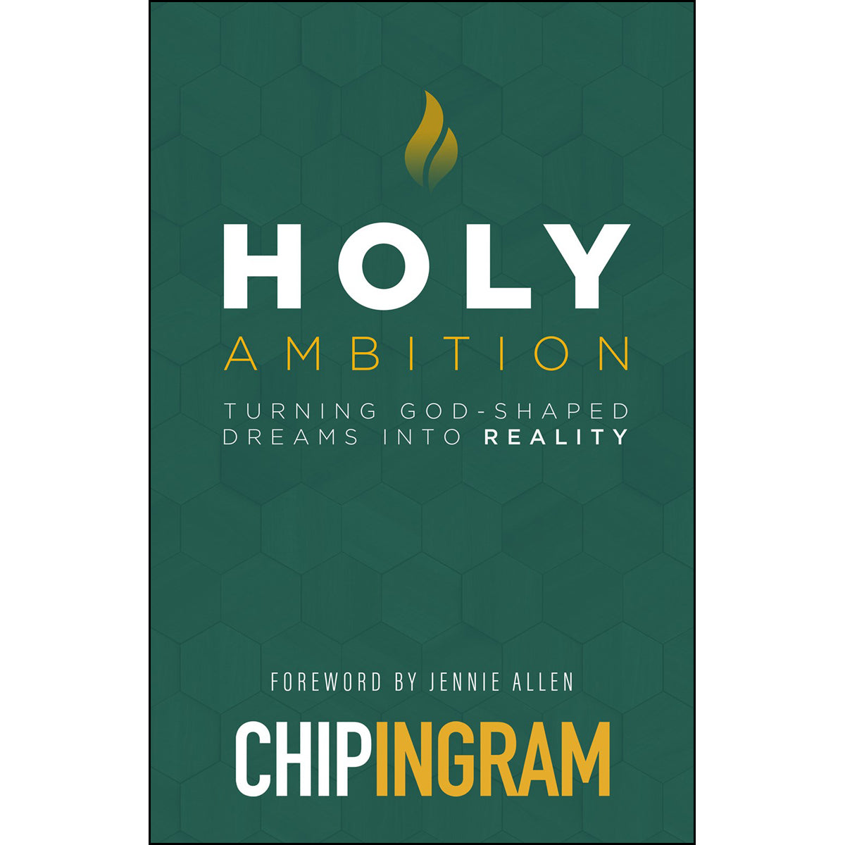 Holy Ambition: Turning God-Shaped Dreams Into Reality (Paperback)