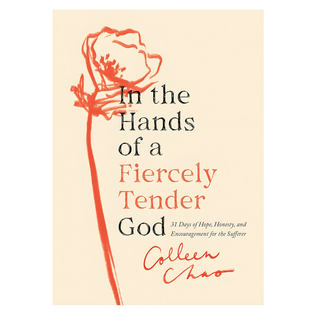 In the Hands of a Fiercely Tender God: 31 Days of Hope, Honesty, and Encouragement PB