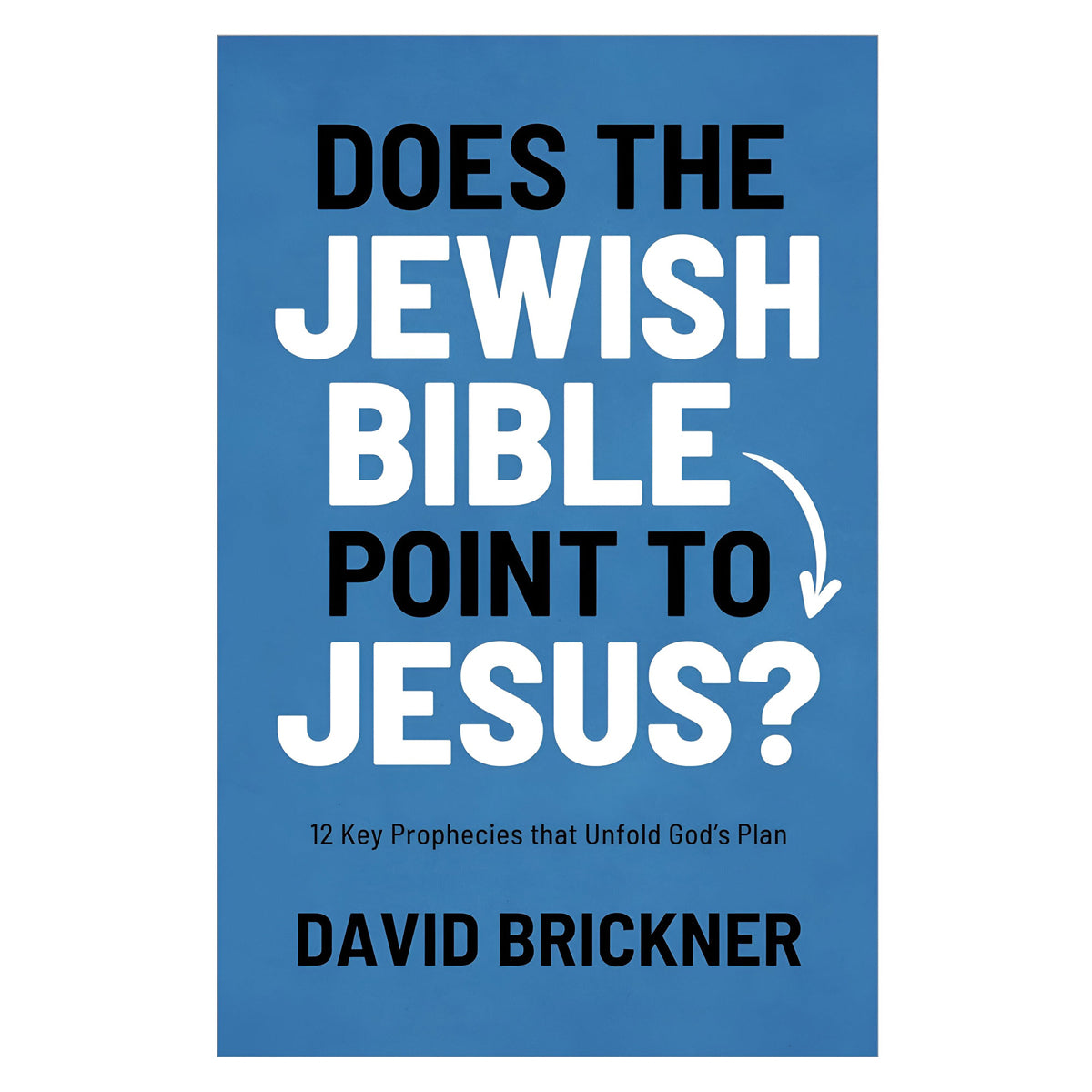Does the Jewish Bible Point to Jesus?: 12 Key Prophecies (Paperback)